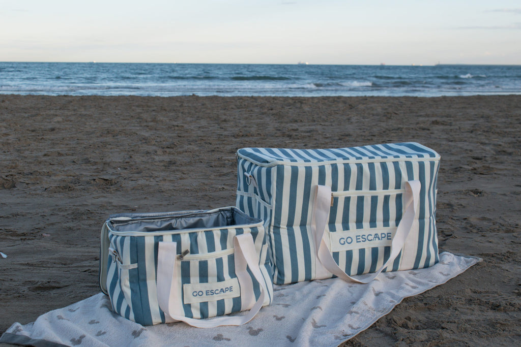 Nevera de playa